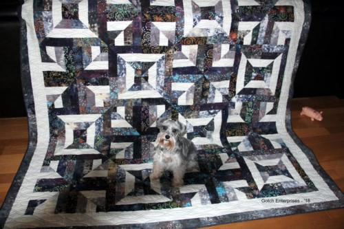 Alexa Sassy Squares 1 Blog